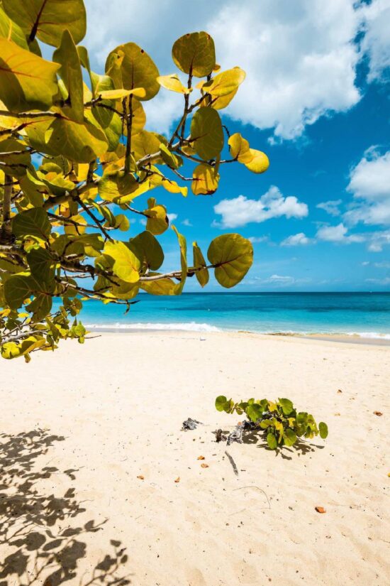 Grenada West Indies Grand Anse Beach, St. George’s