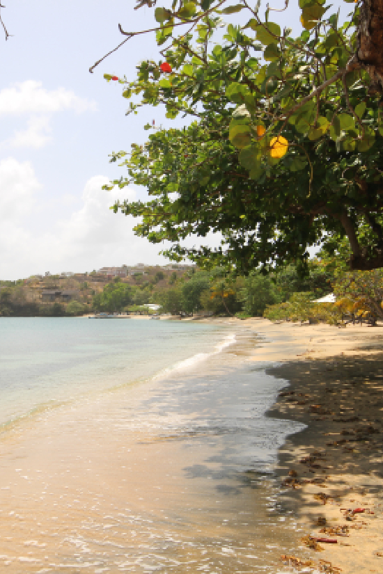 Lance Aux-Epines Beach